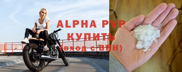 прущие крисы Новозыбков