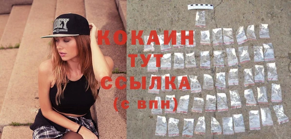 прущие крисы Новозыбков