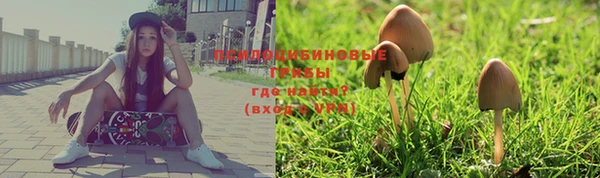 альфа пвп Новокубанск