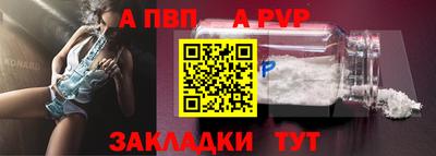 стаф Кингисепп
